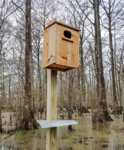 wood duck nest boxes